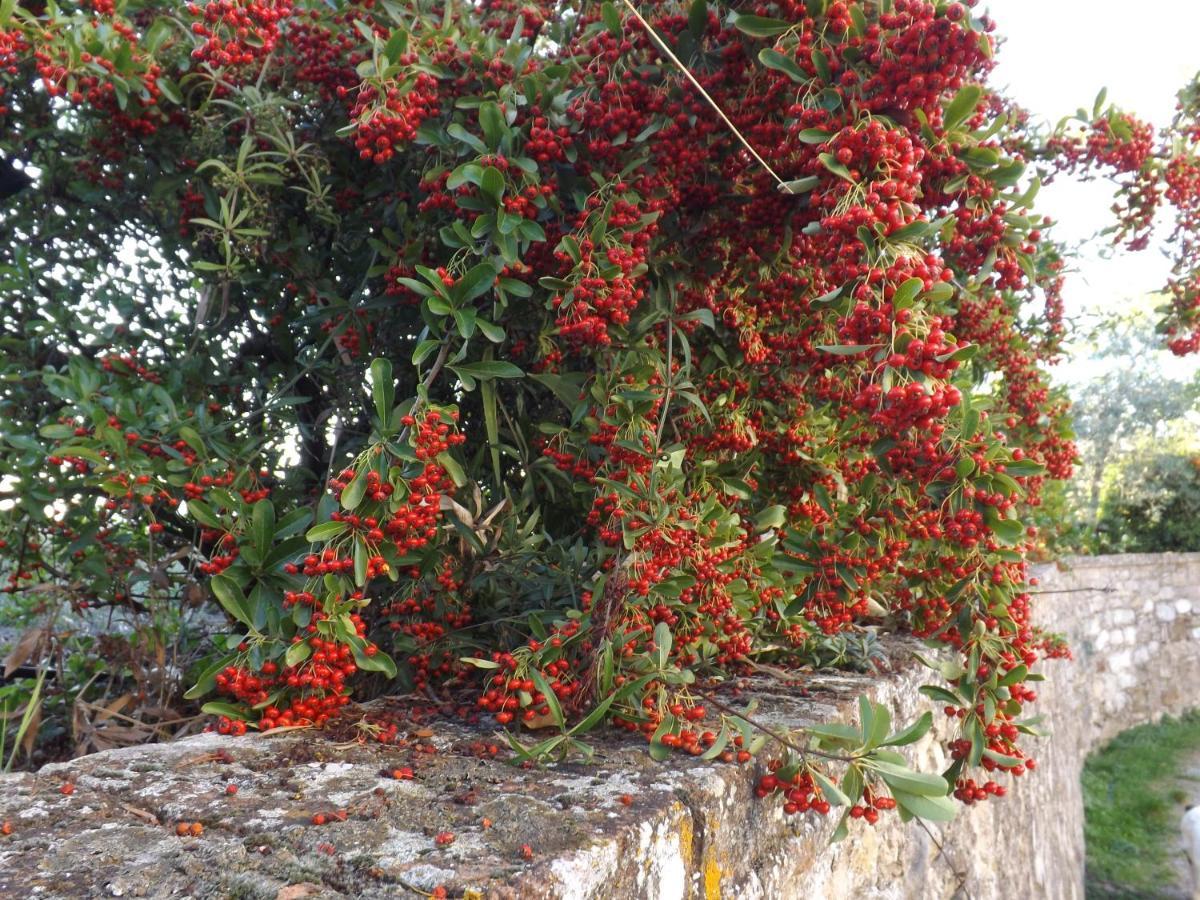 Solomia Panzano in Chianti Exterior photo